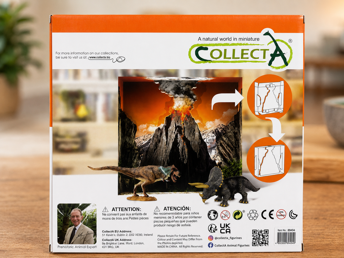 6 Piece Dinosaur Gift Set (CollectA)