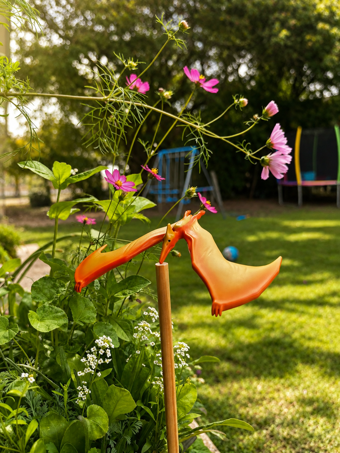 Balancing Pteranodon