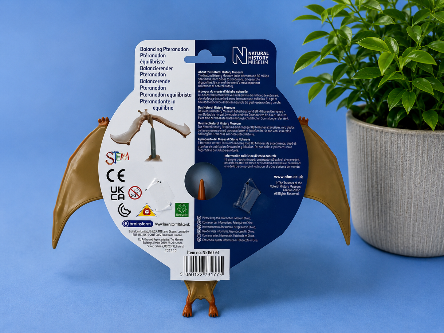 Balancing Pteranodon