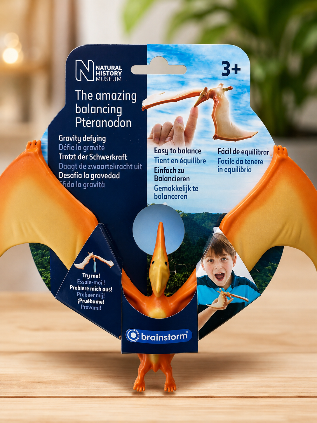 Balancing Pteranodon